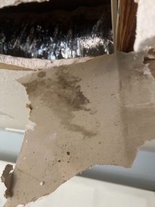 Water Damaged Ceiling Repair